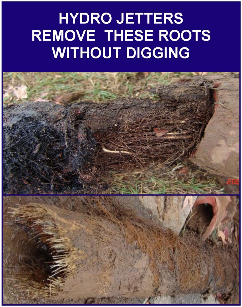 Bestline Plumbing Long Sewer Pipe Tree Roots